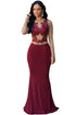 Claret Nude Mesh Accent Maxi Dress